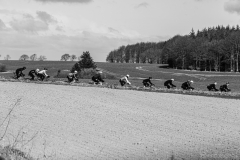 eventfotografi-9061